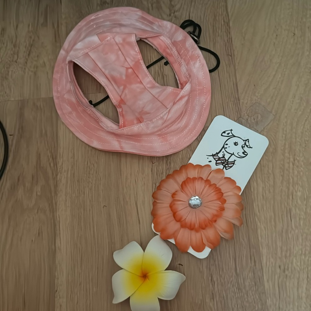 3 dog accessories
